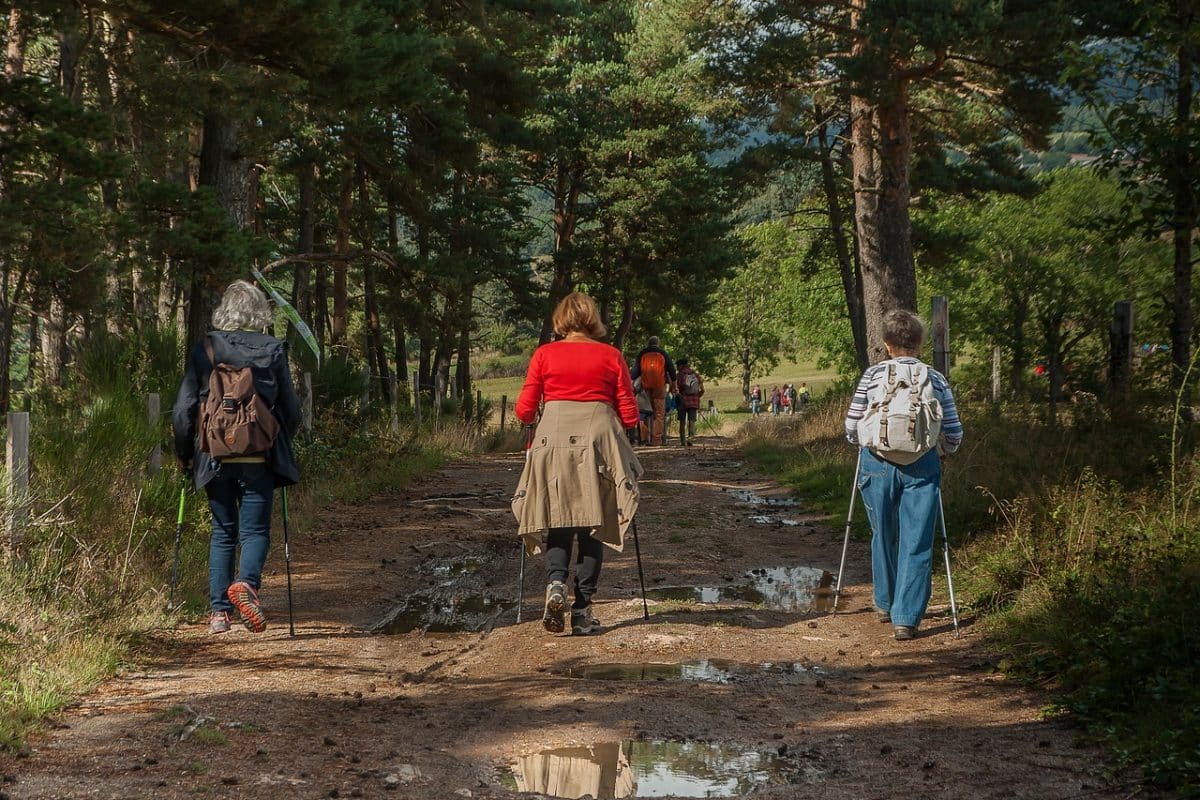 Séjour nature et randonnées en Pays Ventoux