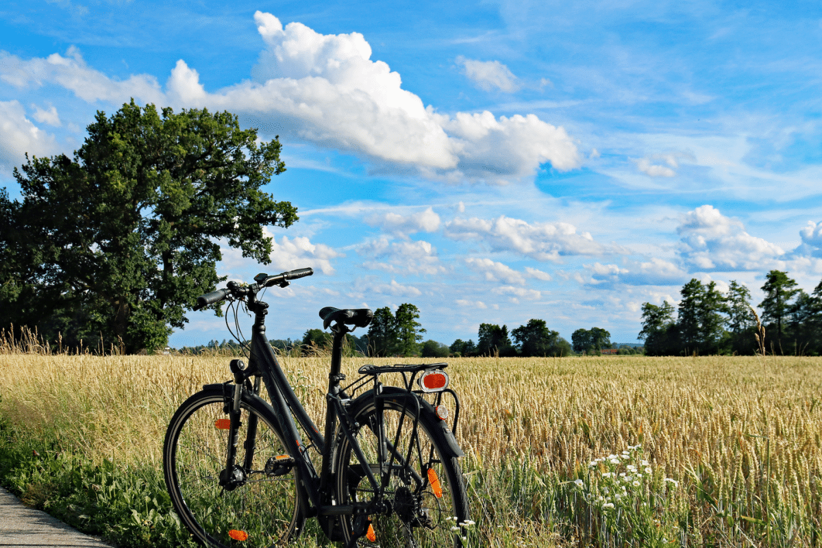 Venez découvrir la Provence à vélo en séjournant au Prieuré la Madelène