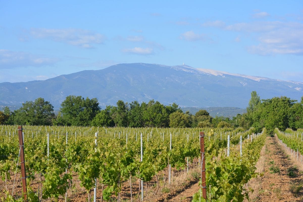 vignobles du ventoux prieure la madelene